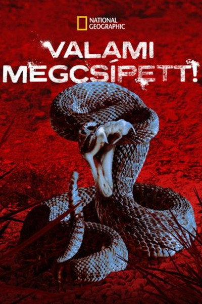 Póster de I Was Bitten
