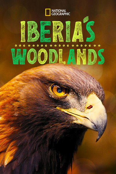 Póster de Iberia's Woodlands: Life on the Edge