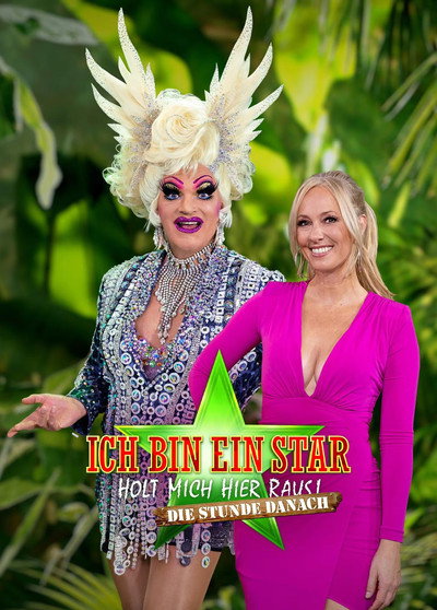 Póster de Ich bin ein Star: Die Stunde danach