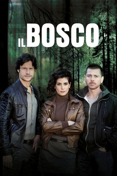 Póster de Il bosco