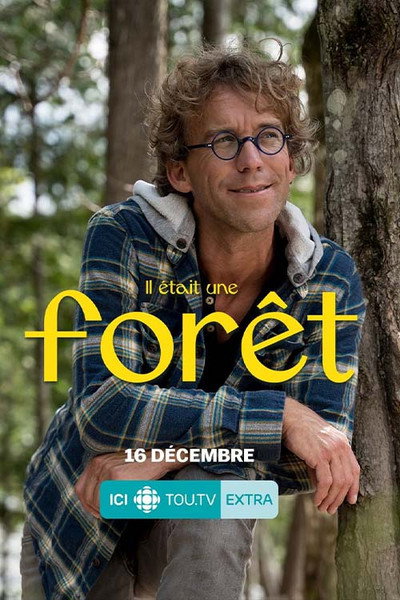 Póster de Il était une forêt
