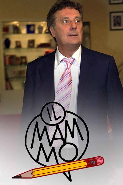 Póster de Il mammo