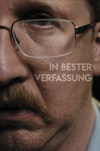 Póster de In bester Verfassung