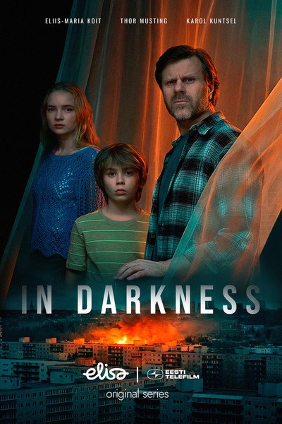 Póster de In Darkness