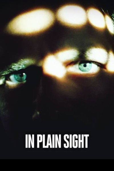 Póster de In Plain Sight