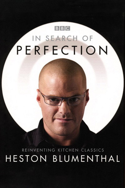 Póster de In Search of Perfection