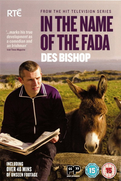 Póster de In the Name of the Fada