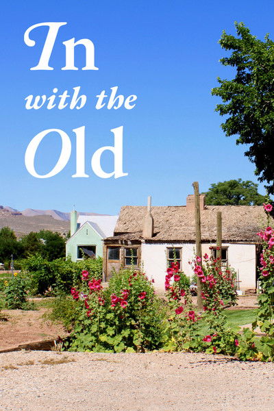 Póster de In with the Old