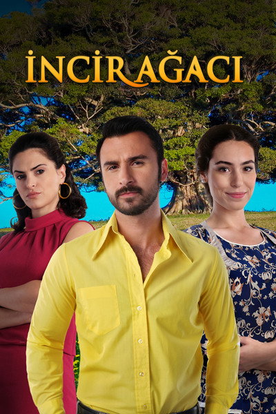 Póster de Incir Agaci
