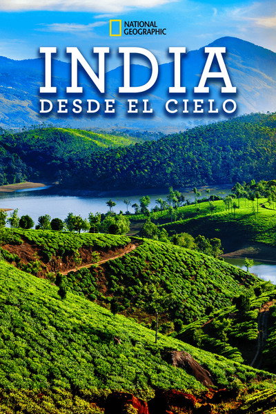 Póster de India from Above