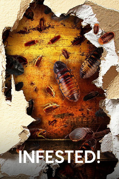 Póster de Infested!