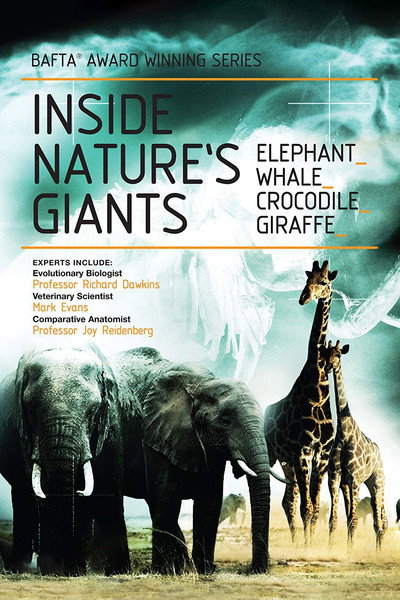 Póster de Inside Nature's Giants
