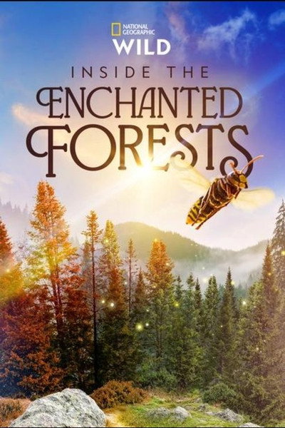Póster de Inside the Enchanted Forests