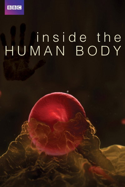 Póster de Inside the Human Body