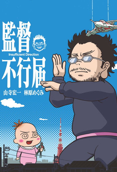 Póster de Insufficient Direction