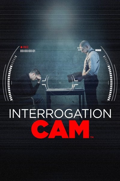 Póster de Interrogation Cam