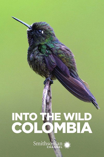 Póster de Into the Wild: Colombia