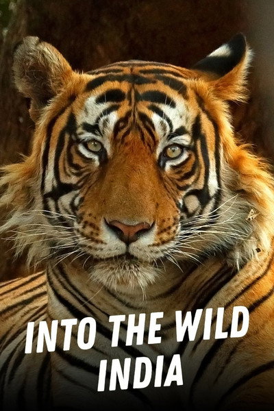 Póster de Into the Wild: India