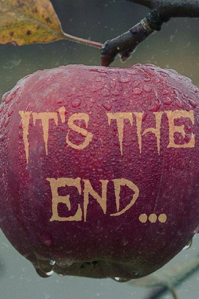 Póster de It's the End