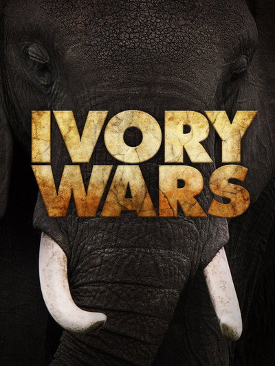 Póster de Ivory Wars