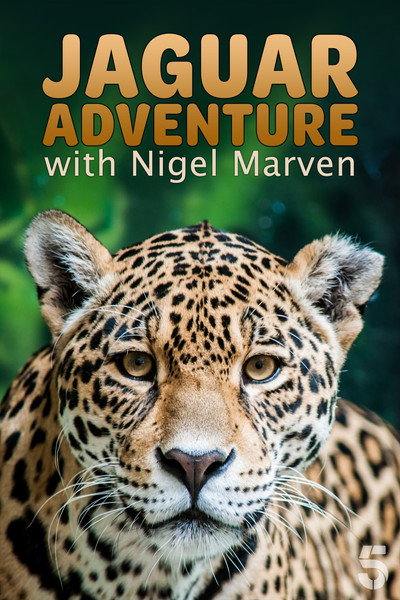 Póster de Jaguar Adventure with Nigel Marven