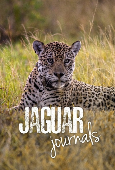 Póster de Jaguar Journals