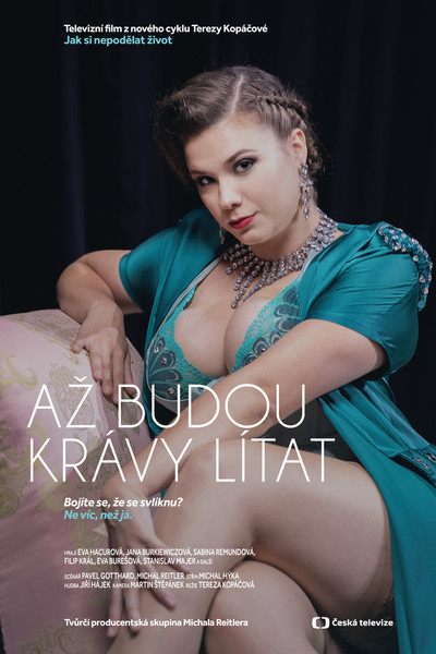 Póster de Jak si nepodelat zivot