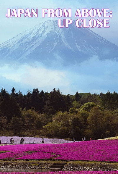 Póster de Japan from Above