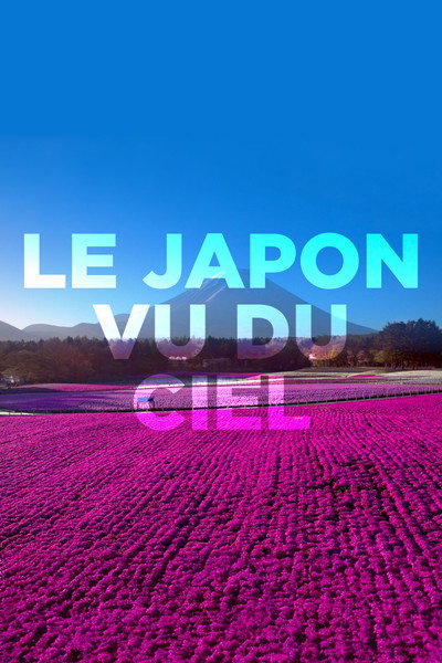 Póster de JAPAN FROM ABOVE