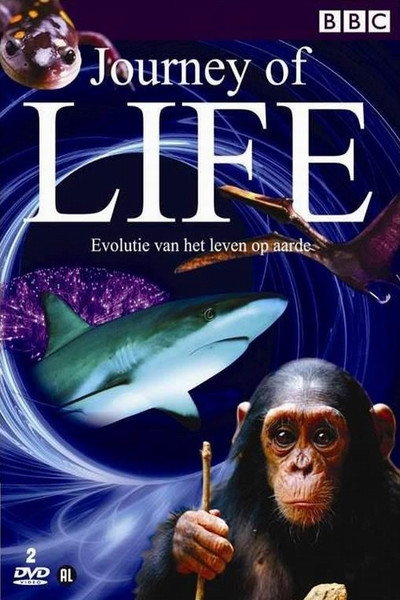 Póster de Journey of Life