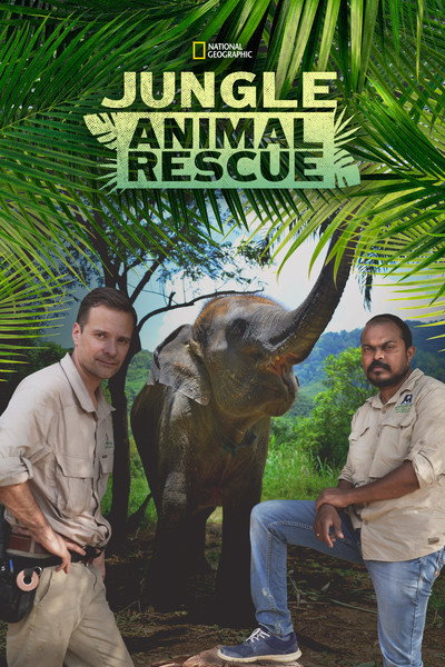 Póster de Jungle Animal Rescue