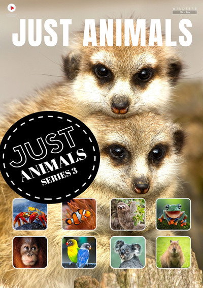 Póster de Just Animals