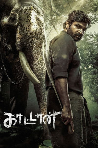 Póster de Kaattaan