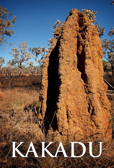 Póster de Kakadu
