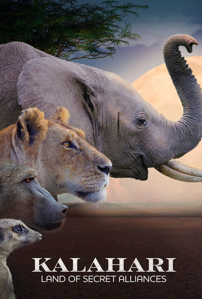 Póster de Kalahari: Land of Secret Alliances