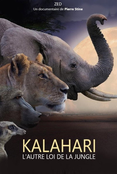 Póster de Kalahari, l'autre loi de la jungle