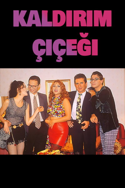 Póster de Kaldirim cicegi