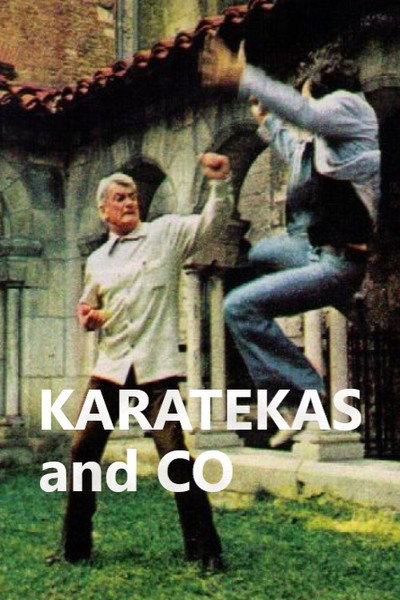 Póster de Karatekas and co