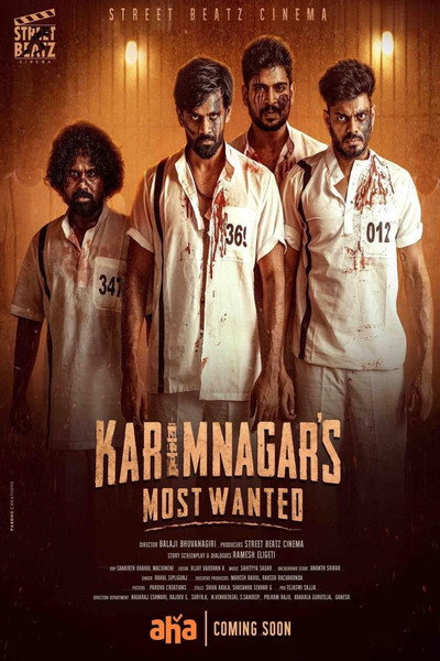 Póster de Karimnagar's Most Wanted