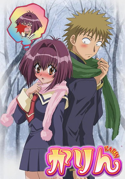 Póster de Karin