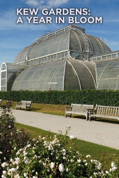 Póster de Kew Gardens: A Year in Bloom