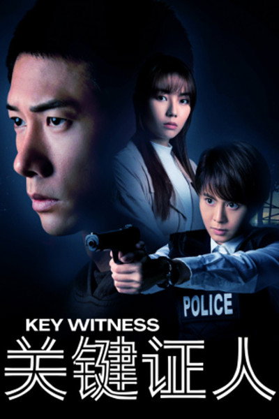 Póster de Key Witness
