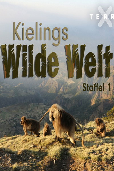 Póster de Kielings wilde Welt