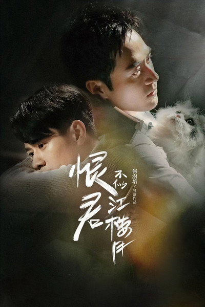 Póster de Killer and Healer