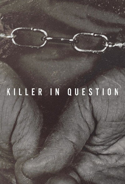 Póster de Killer in Question
