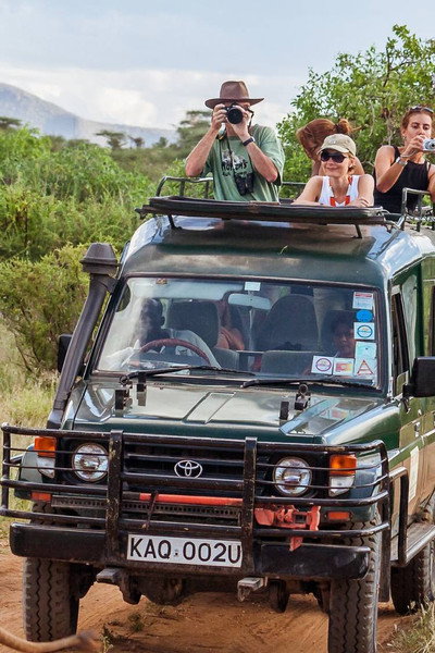 Póster de Killer Safari