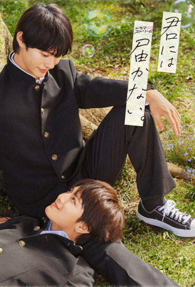 Póster de Kimi niwa dodokanai
