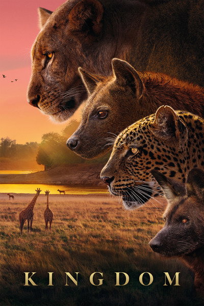 Póster de Kingdom