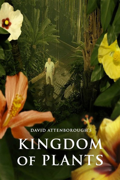 Póster de Kingdom of Plants 3D
