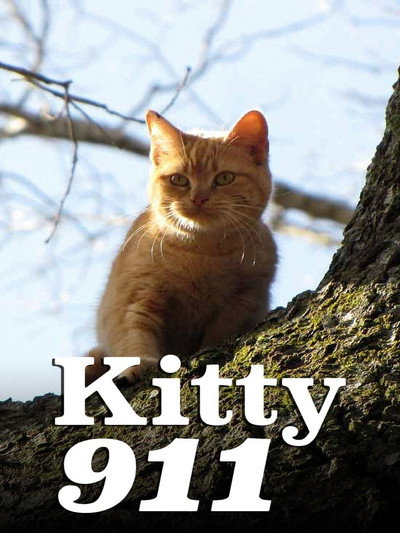 Póster de Kitty 911